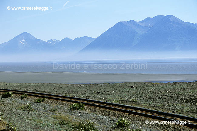 Alaska railroad 50-1-07